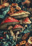 A Choir of Caps by Steven Lindon