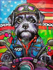Biker Pup by Mariella Rinaldi