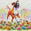 Bouncy Boxer by Cocomarshmallow Art