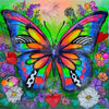 Butterfly Garden Box Set by Mariella Rinaldi