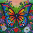 Butterfly Garden Box Set by Mariella Rinaldi