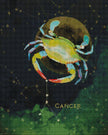 Cancer by Ellen Brenneman