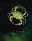 Cancer by Ellen Brenneman