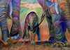 Colourful Baby Elephant by Patty Vicknair
