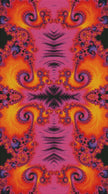 Fuchsia Vortex by Becca Tindol