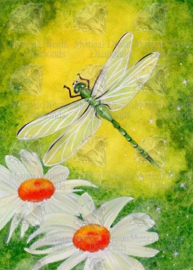 Dragonfly by Katerina