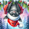 Jinglewing Mischief by Kismet and Kitsch