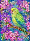 Kiwi by Sandrietta