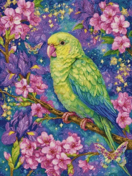 Kiwi by Sandrietta