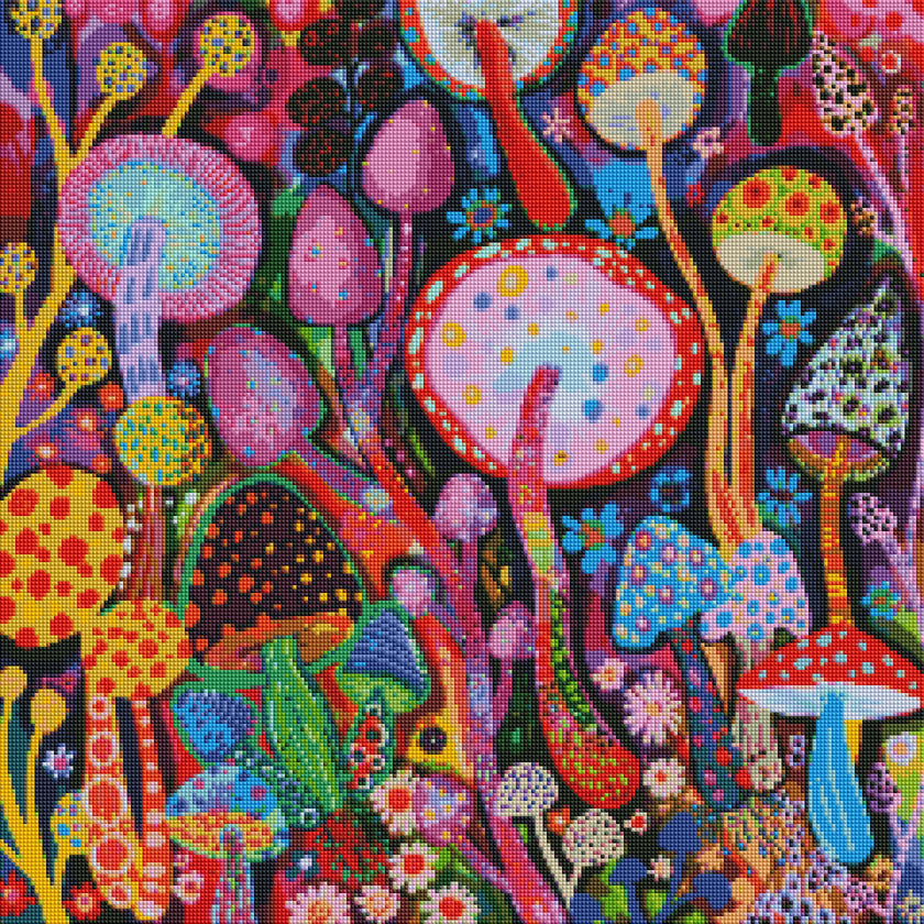 Mushrooms by Noemi Ibarz