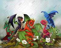 Mixed Berries Dragons by Stanley Morrison