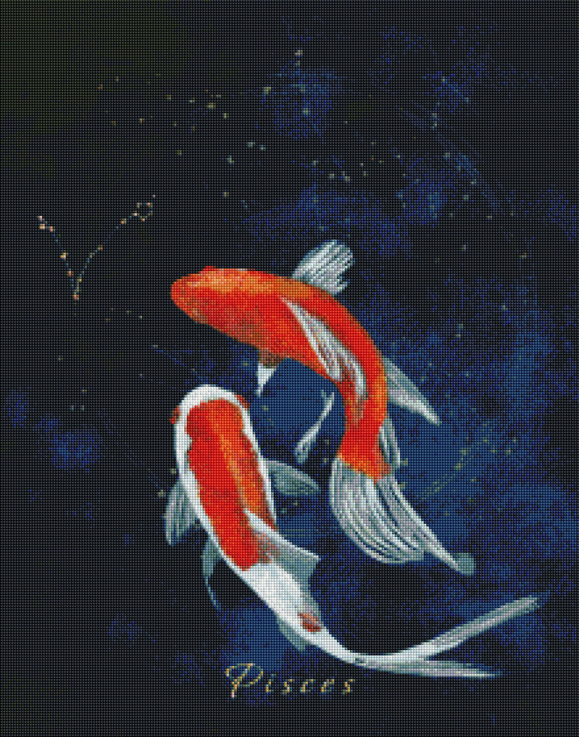 Pisces by Ellen Brenneman