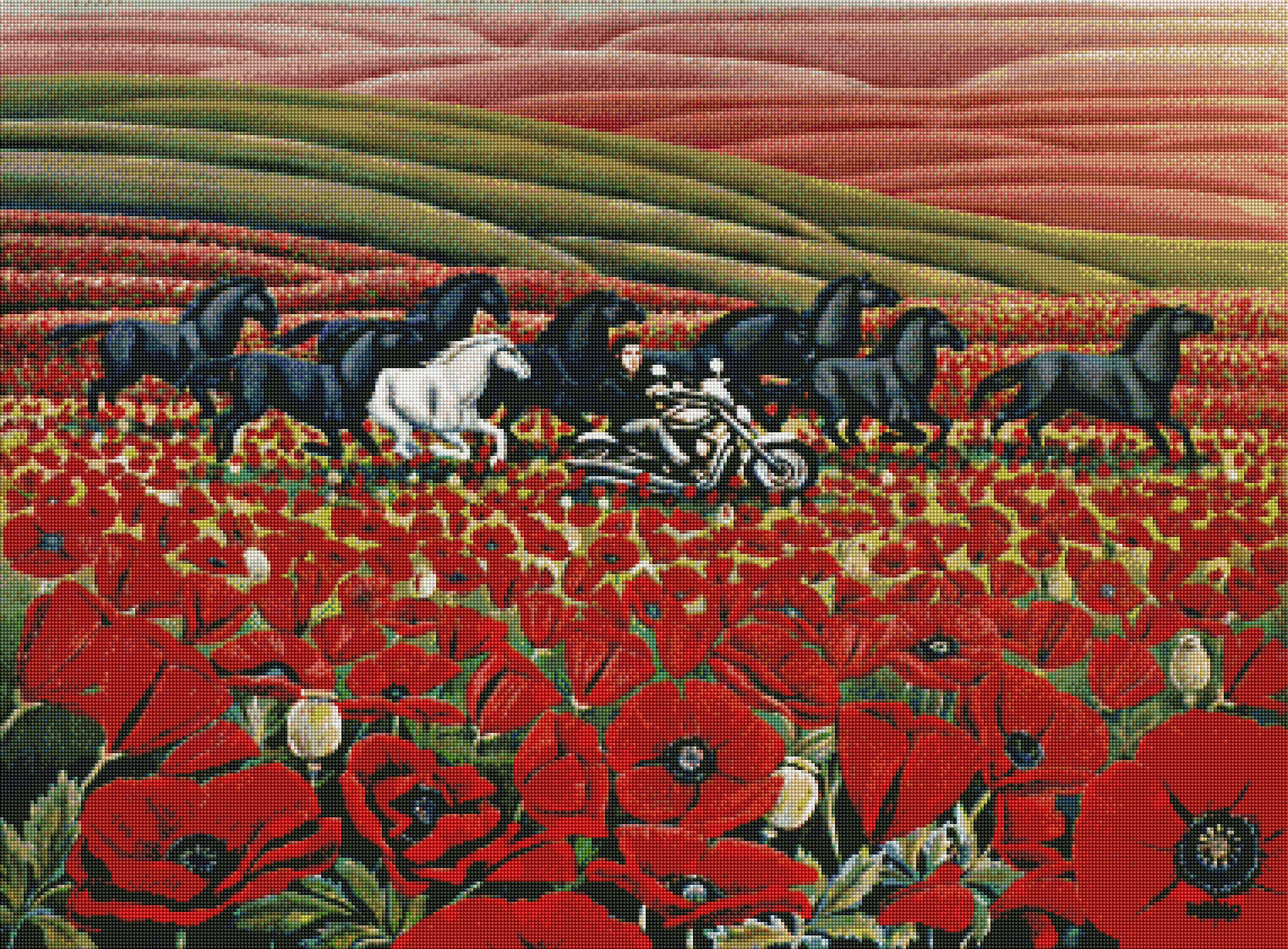 Poppy Fields by Kim Hunter