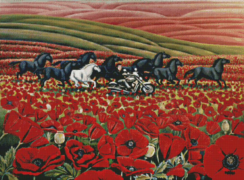 Poppy Fields by Kim Hunter