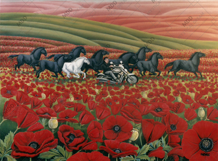 Poppy Fields by Kim Hunter