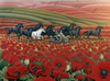 Poppy Fields by Kim Hunter