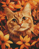 Rusty by Rowan