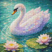 Serenity Swan by Astral Light