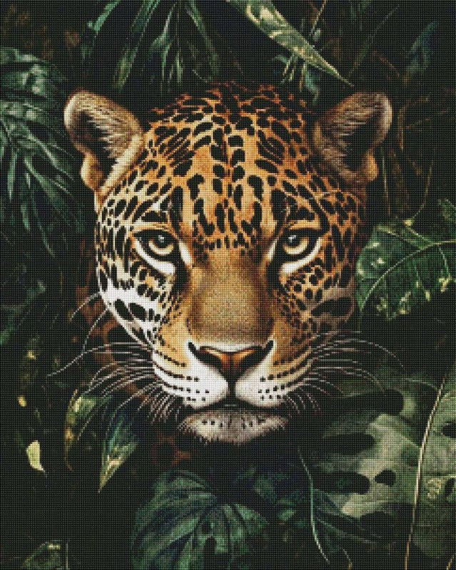 Spotted in the Jungle by Rowan