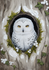 Sweet Owl in the Wood by Laura Peres