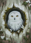 Sweet Owl in the Wood by Laura Peres