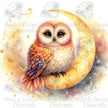Swirly Moon Owl by Cocomarshmallow Art