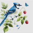 The Blue Jay by Cocomarshmallow Art