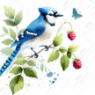 The Blue Jay by Cocomarshmallow Art
