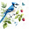 The Blue Jay by Cocomarshmallow Art
