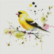 The Grosbeak by Cocomarshmallow Art