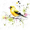 The Grosbeak by Cocomarshmallow Art