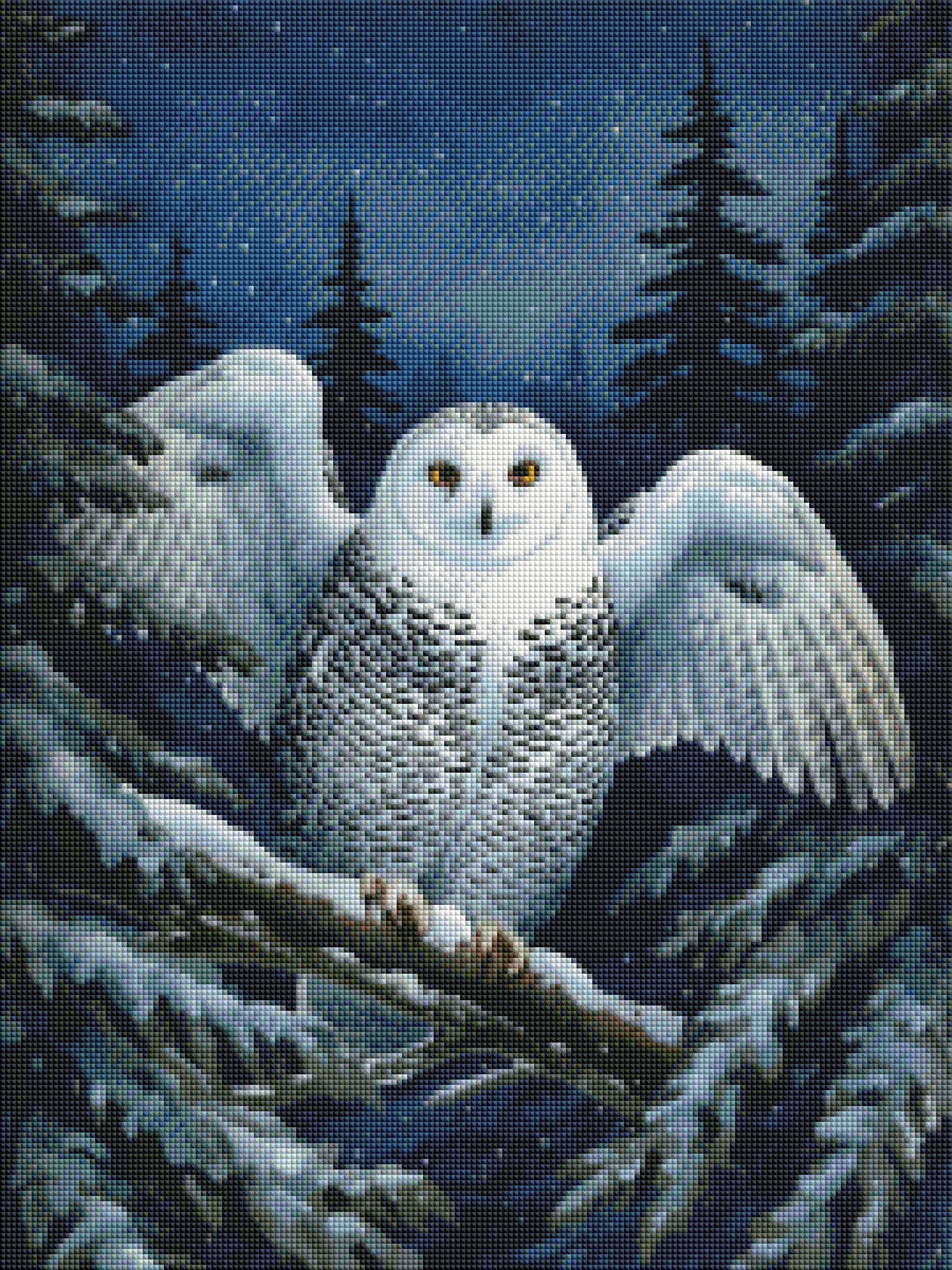 The Magical Owl Is Near by Laura Peres