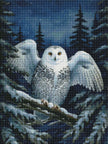 The Magical Owl Is Near by Laura Peres