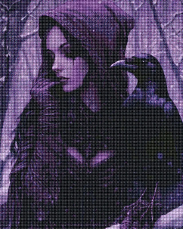 The Raven Witch by Rowan