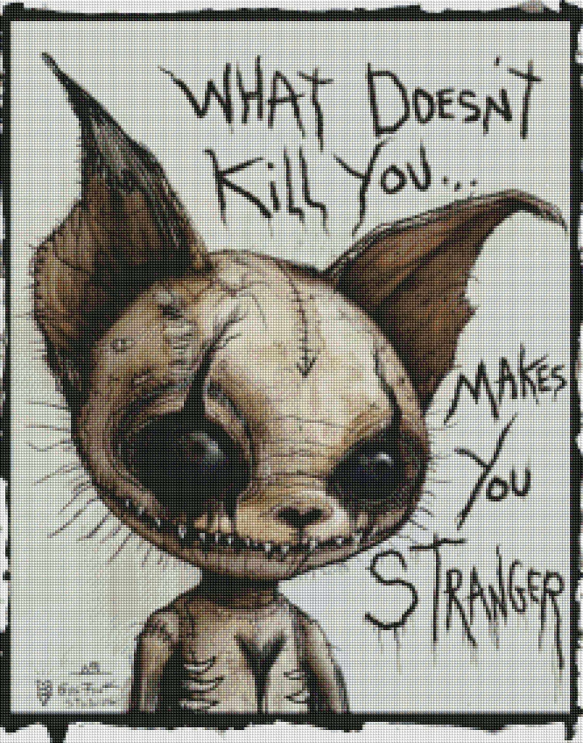 What Doesn't Kill You Makes You Stranger by Gus Fink