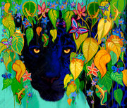 Nick Gustafson collection artwork