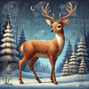 Winter Night Walk by Kimberly McGuiness